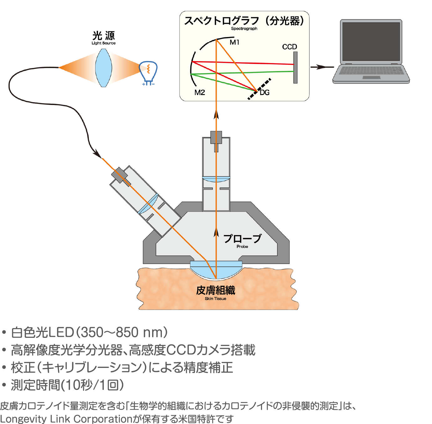 ⽪膚カロテノイド量測定を含む「⽣物学的組織におけるカロテノイドの⾮侵襲的測定」は、Longevity Link Corporationが保有する⽶国特許です